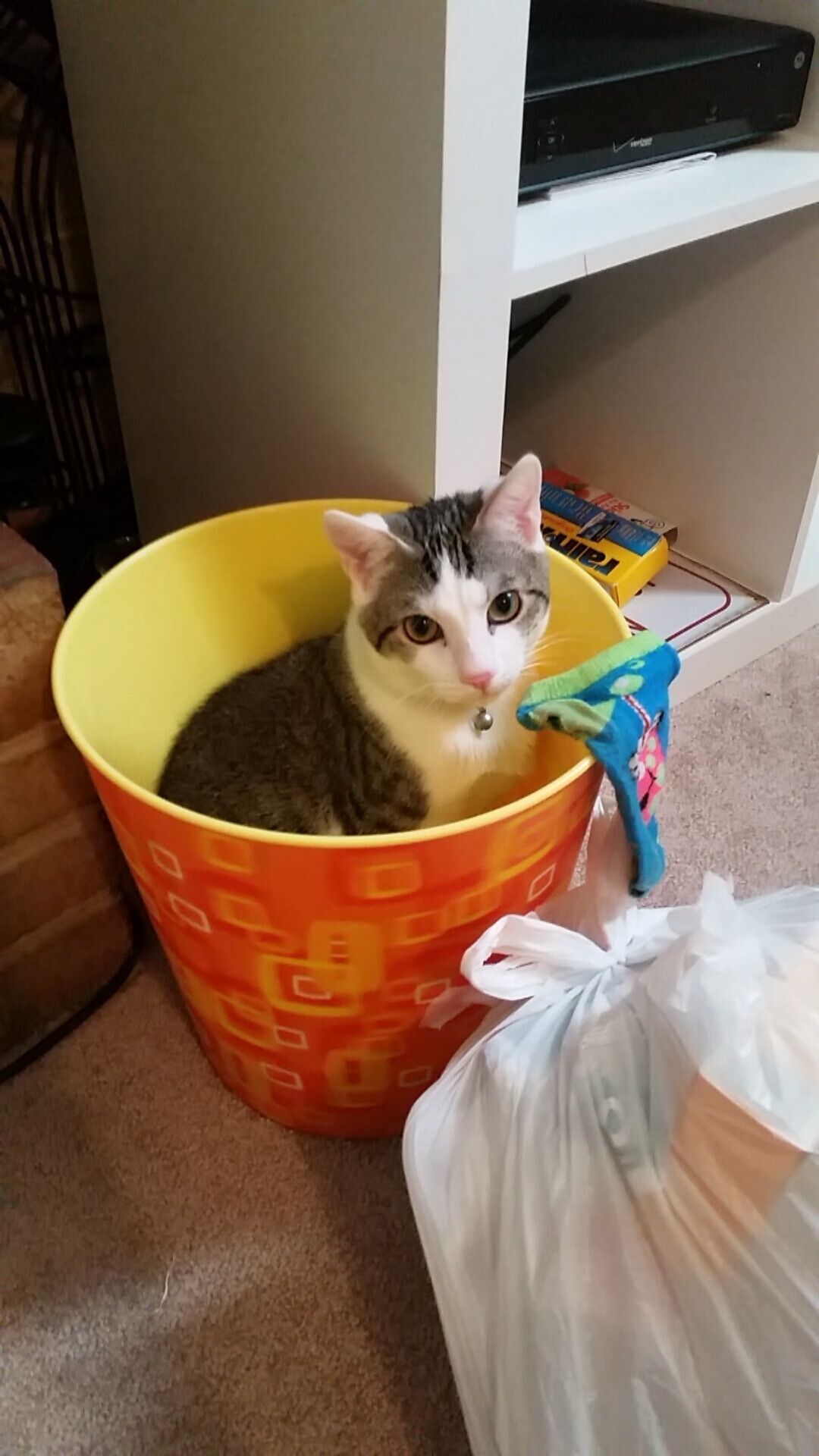 世界杯奇迹逆转：逆境中的英雄崛起，世界杯经典逆转